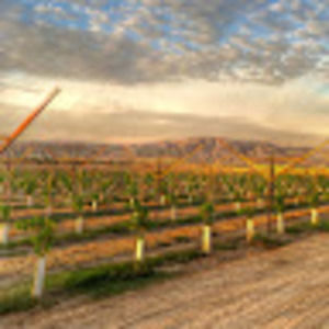 Meet your Posher, Mom